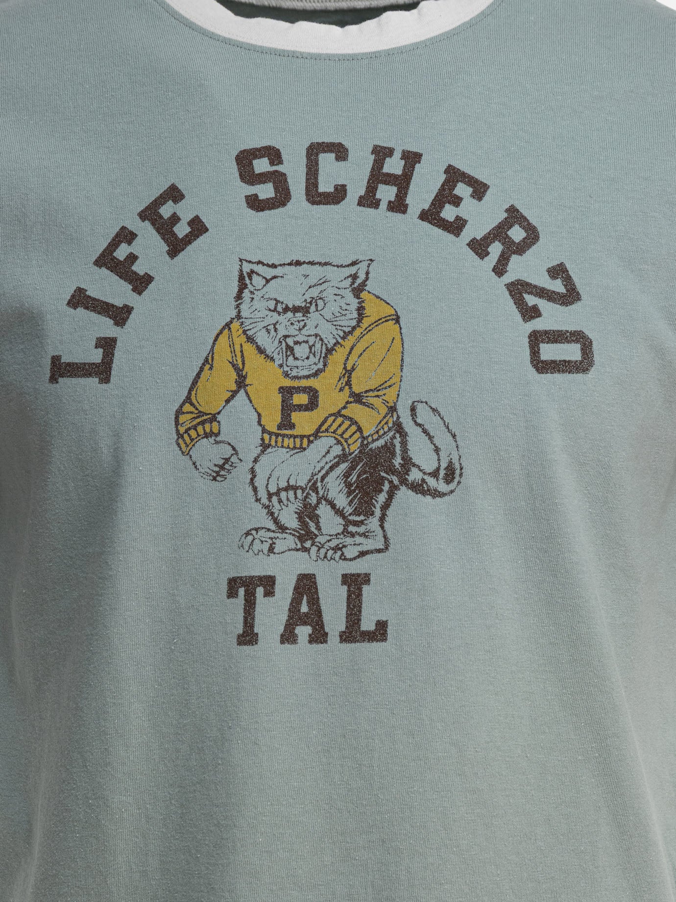 KAPITAL T-shirt &quot;College CAT PITAL&quot; 15402042_2 Light blue thumbnail_3