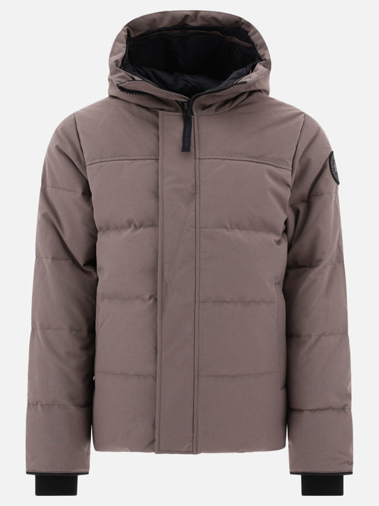 Parka Solid colour  Grigio - Canada Goose Uomo | PLP | VIETTI Online Store 
