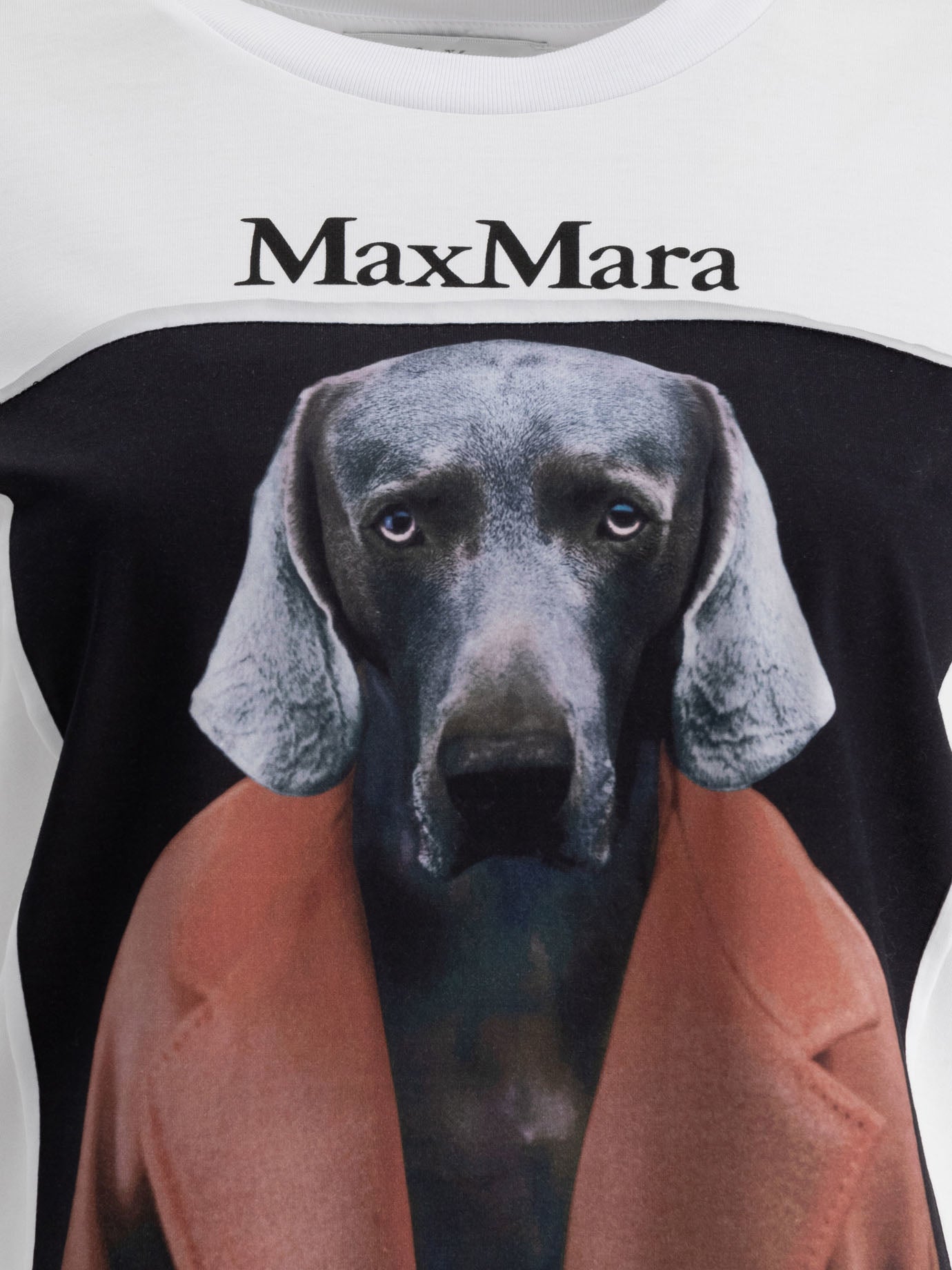 Max Mara Printed jersey t-shirt White