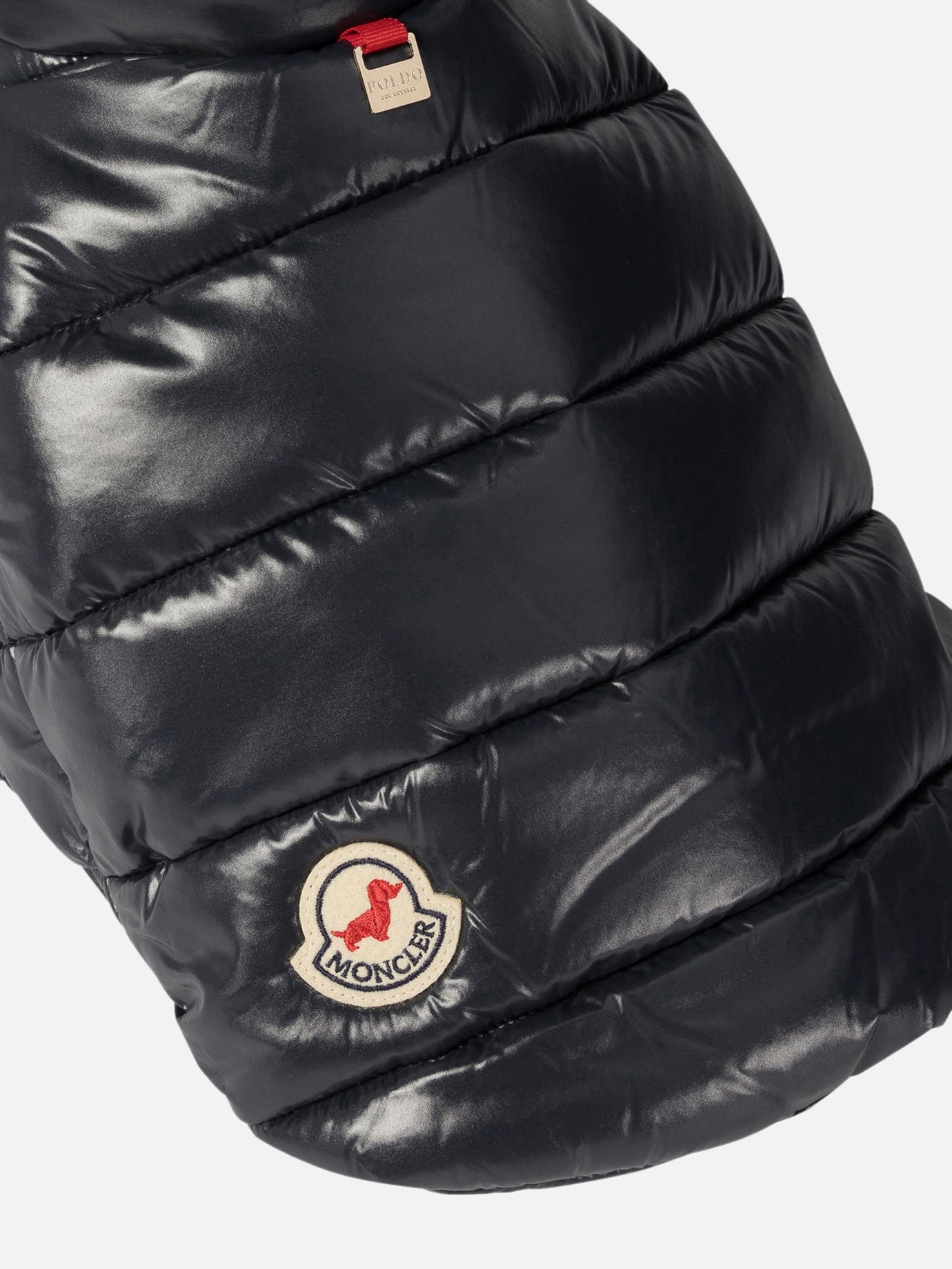 Moncler Poldo Dog vest Blue