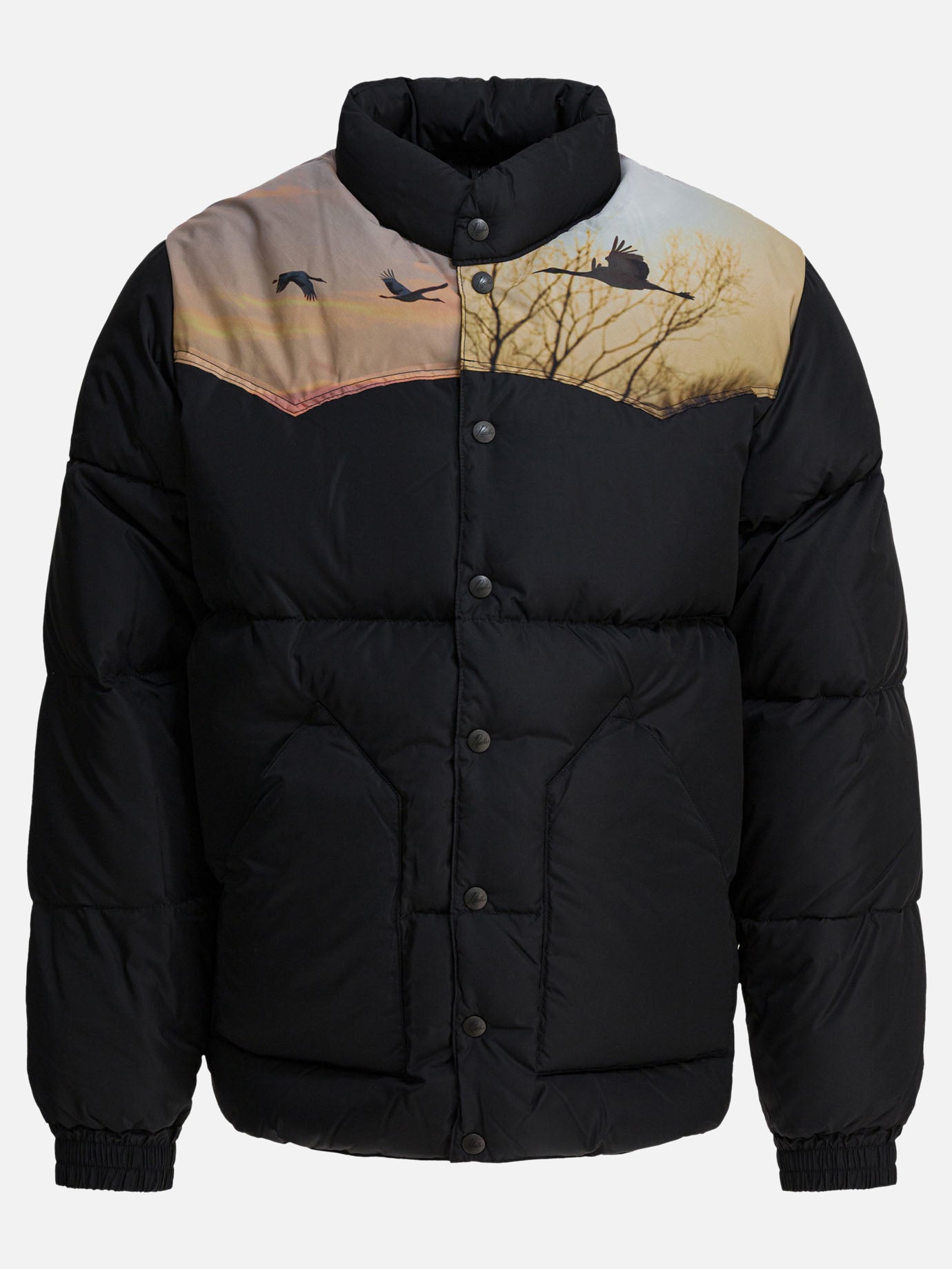 Down jackets Graphics  Black - Needles Men | PDP | VIETTI Online Store | Zoom-Modal
