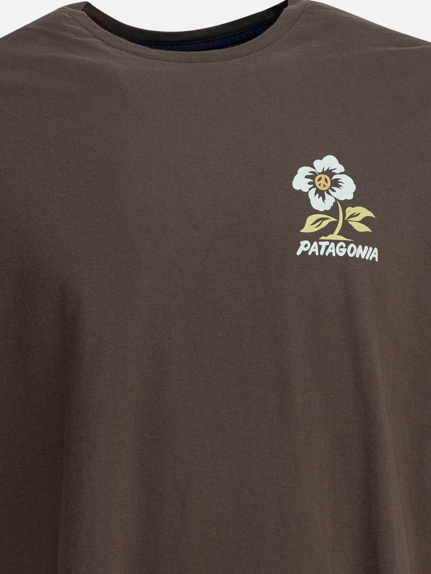 Crewneck t-shirts Print  Brown - Patagonia Men | PDP | VIETTI Online Store | thumbnail_3